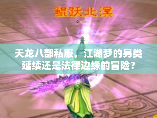 天龙八部私服，江湖梦的另类延续还是法律边缘的冒险？