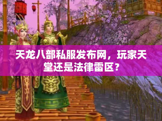 天龙八部私服发布网，玩家天堂还是法律雷区？