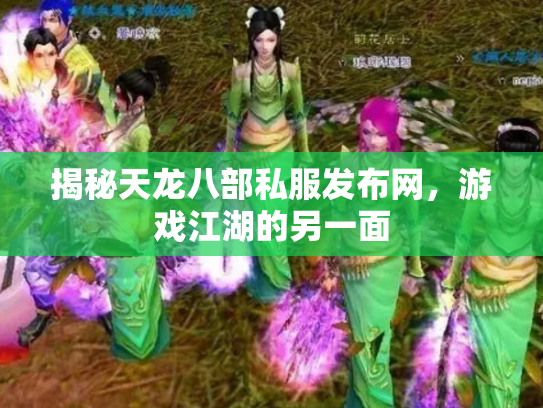揭秘天龙八部私服发布网，游戏江湖的另一面
