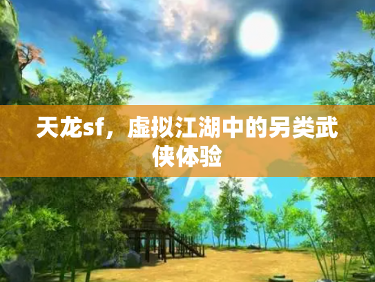 天龙sf，虚拟江湖中的另类武侠体验