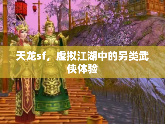 天龙sf，虚拟江湖中的另类武侠体验