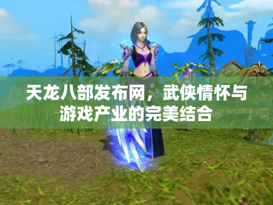 天龙八部发布网，武侠情怀与游戏产业的完美结合