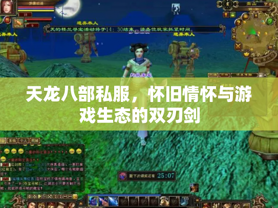 天龙八部私服，怀旧情怀与游戏生态的双刃剑