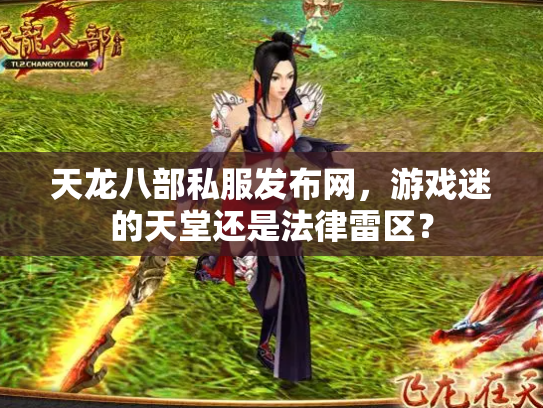 天龙八部私服发布网，游戏迷的天堂还是法律雷区？