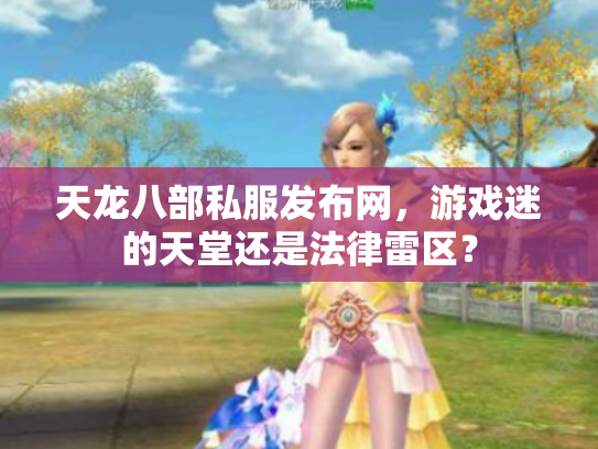 天龙八部私服发布网，游戏迷的天堂还是法律雷区？