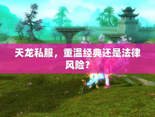 天龙私服，重温经典还是法律风险？