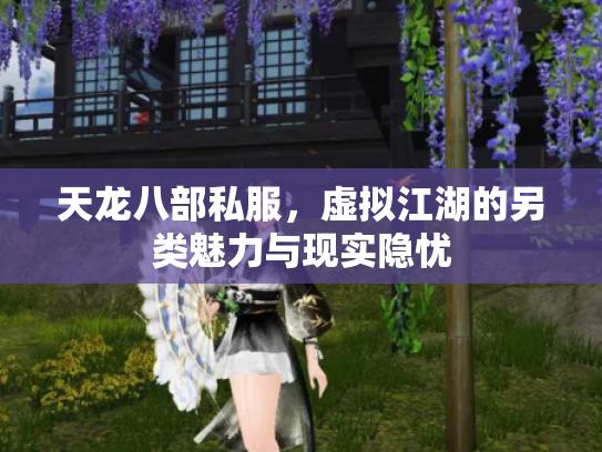 天龙八部私服，虚拟江湖的另类魅力与现实隐忧