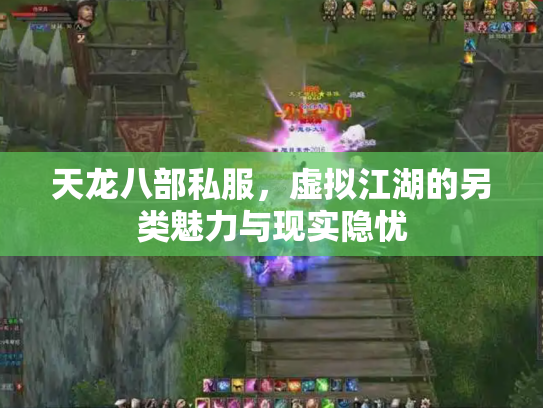 天龙八部私服，虚拟江湖的另类魅力与现实隐忧