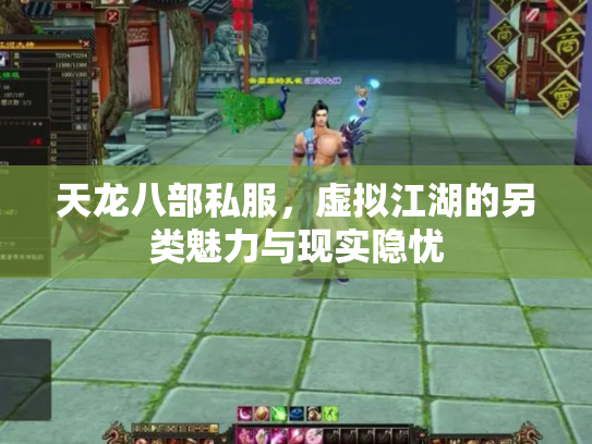 天龙八部私服，虚拟江湖的另类魅力与现实隐忧