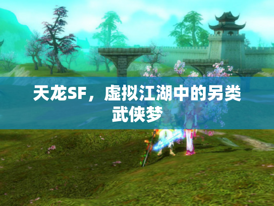 天龙SF，虚拟江湖中的另类武侠梦