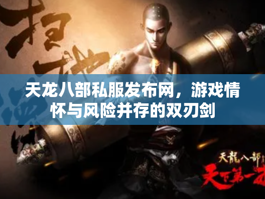 天龙八部私服发布网，游戏情怀与风险并存的双刃剑