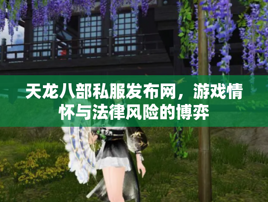 天龙八部私服发布网，游戏情怀与法律风险的博弈