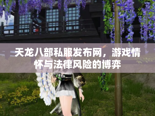 天龙八部私服发布网，游戏情怀与法律风险的博弈