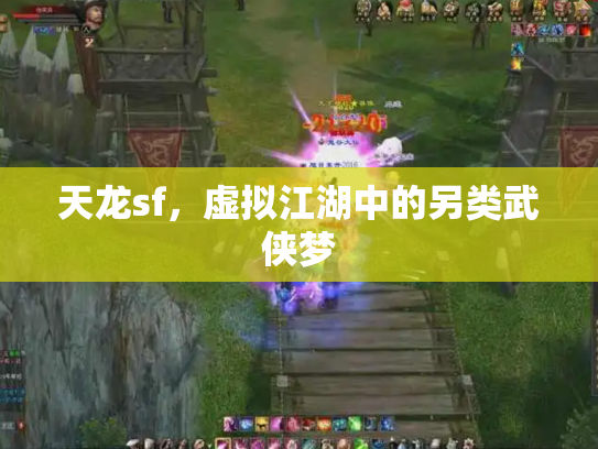 天龙sf，虚拟江湖中的另类武侠梦