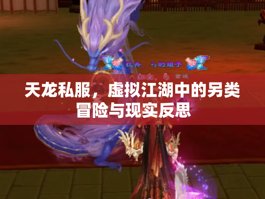 天龙私服，虚拟江湖中的另类冒险与现实反思