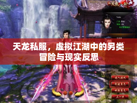 天龙私服，虚拟江湖中的另类冒险与现实反思