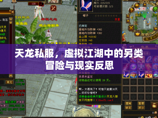 天龙私服，虚拟江湖中的另类冒险与现实反思