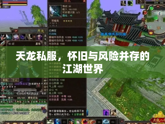 天龙私服，怀旧与风险并存的江湖世界
