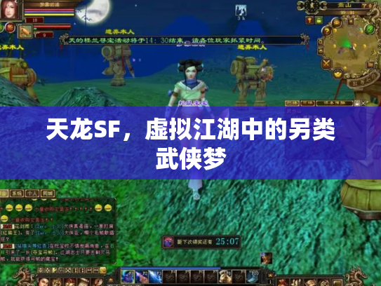 天龙SF，虚拟江湖中的另类武侠梦