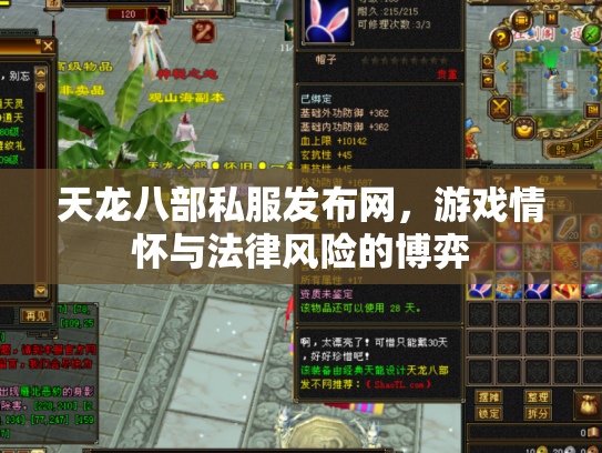 天龙八部私服发布网，游戏情怀与法律风险的博弈