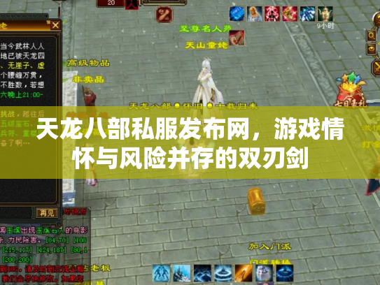 天龙八部私服发布网，游戏情怀与风险并存的双刃剑