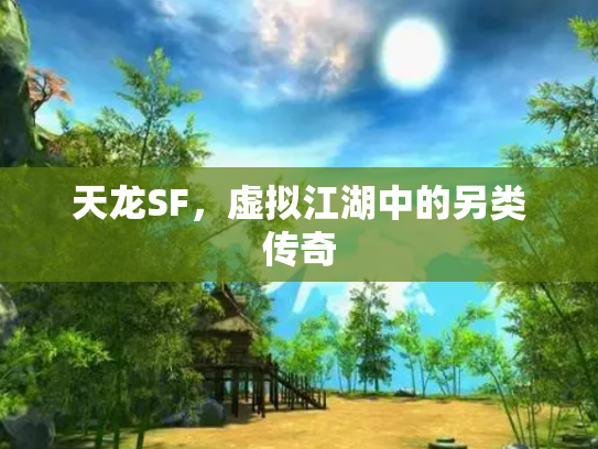 天龙SF，虚拟江湖中的另类传奇