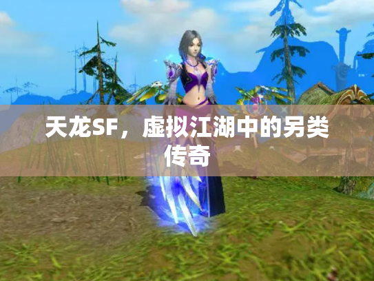 天龙SF，虚拟江湖中的另类传奇