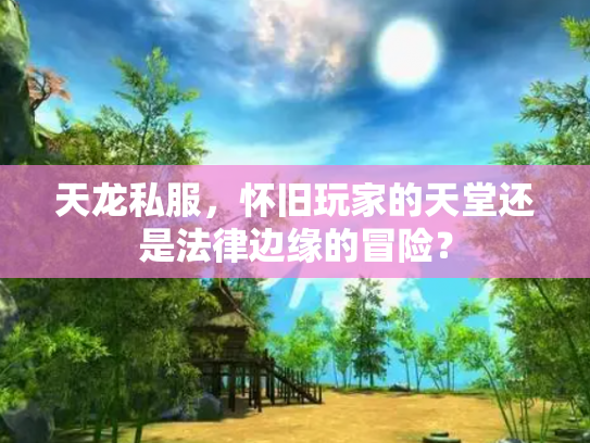 天龙私服，怀旧玩家的天堂还是法律边缘的冒险？