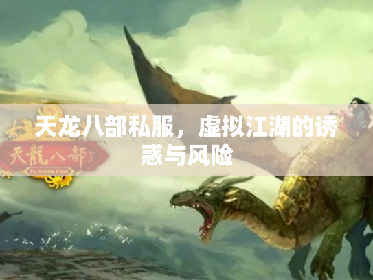 天龙八部私服，虚拟江湖的诱惑与风险