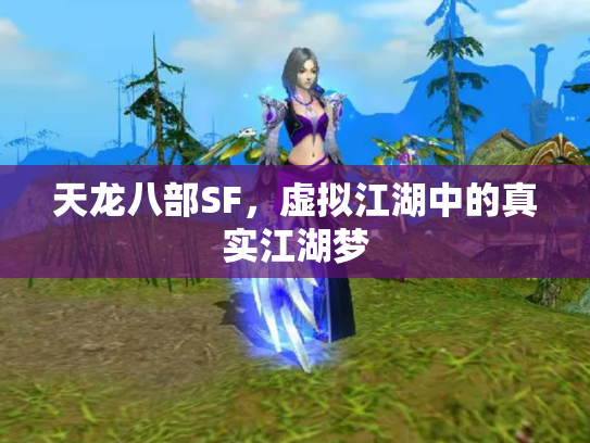 天龙八部SF，虚拟江湖中的真实江湖梦