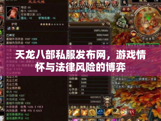天龙八部私服发布网，游戏情怀与法律风险的博弈