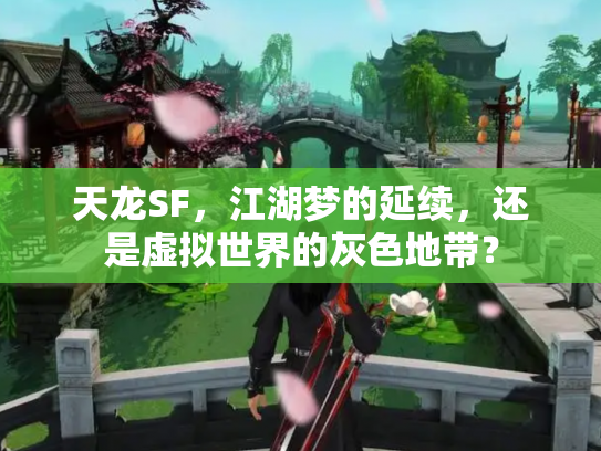 天龙SF，江湖梦的延续，还是虚拟世界的灰色地带？