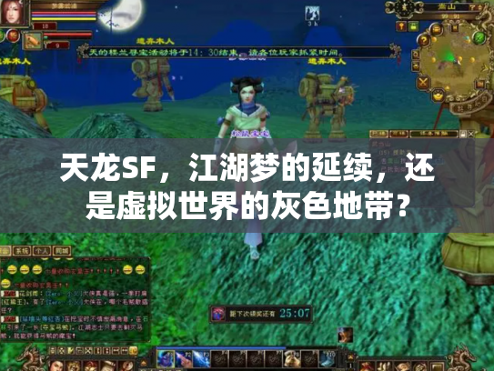 天龙SF，江湖梦的延续，还是虚拟世界的灰色地带？
