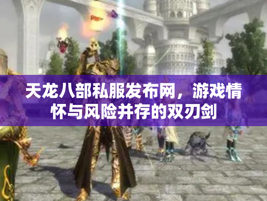 天龙八部私服发布网，游戏情怀与风险并存的双刃剑