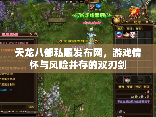 天龙八部私服发布网，游戏情怀与风险并存的双刃剑