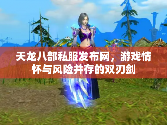 天龙八部私服发布网，游戏情怀与风险并存的双刃剑