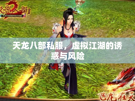 天龙八部私服，虚拟江湖的诱惑与风险