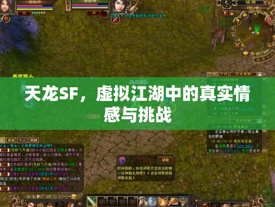天龙SF，虚拟江湖中的真实情感与挑战