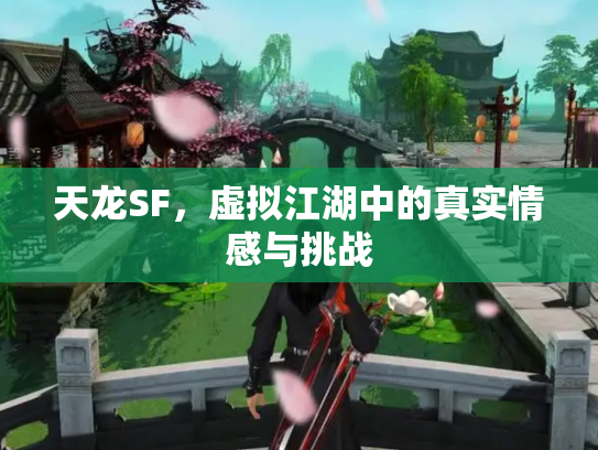 天龙SF，虚拟江湖中的真实情感与挑战