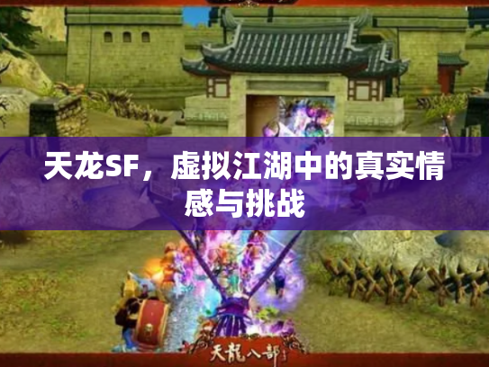 天龙SF，虚拟江湖中的真实情感与挑战