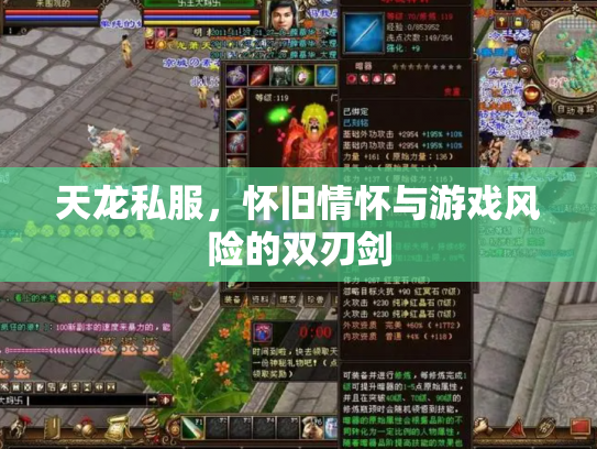 天龙私服，怀旧情怀与游戏风险的双刃剑
