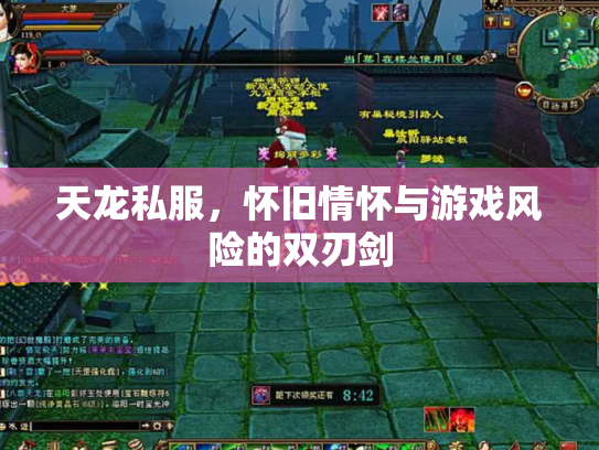 天龙私服，怀旧情怀与游戏风险的双刃剑