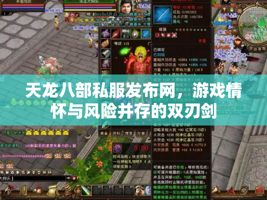 天龙八部私服发布网，游戏情怀与风险并存的双刃剑