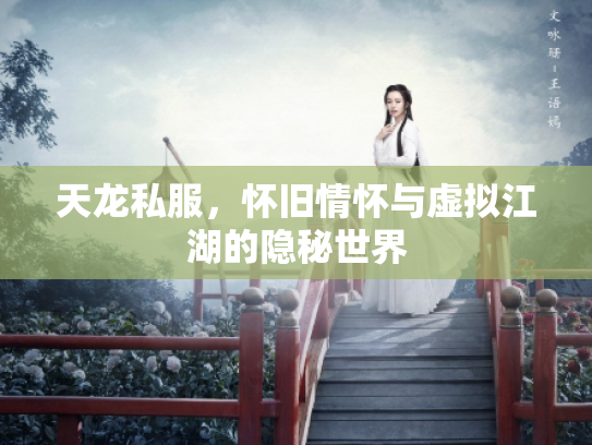 天龙私服，怀旧情怀与虚拟江湖的隐秘世界