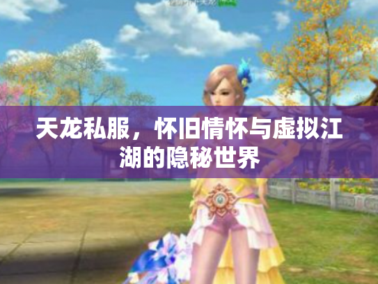 天龙私服，怀旧情怀与虚拟江湖的隐秘世界
