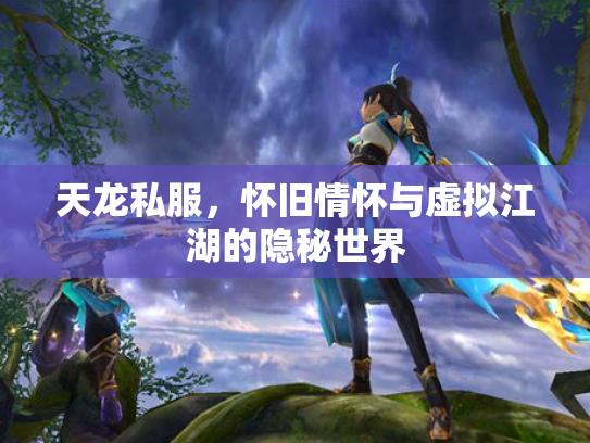 天龙私服，怀旧情怀与虚拟江湖的隐秘世界