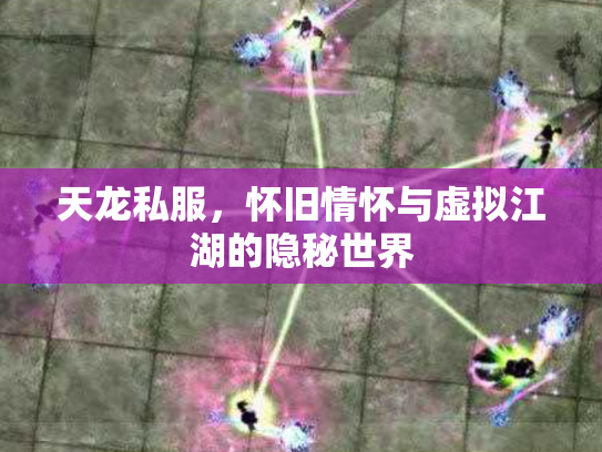 天龙私服，怀旧情怀与虚拟江湖的隐秘世界