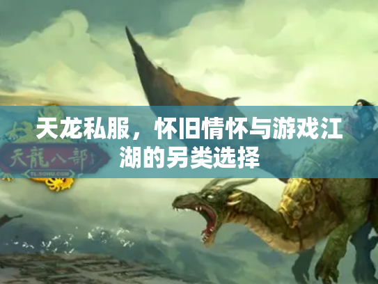 天龙私服，怀旧情怀与游戏江湖的另类选择