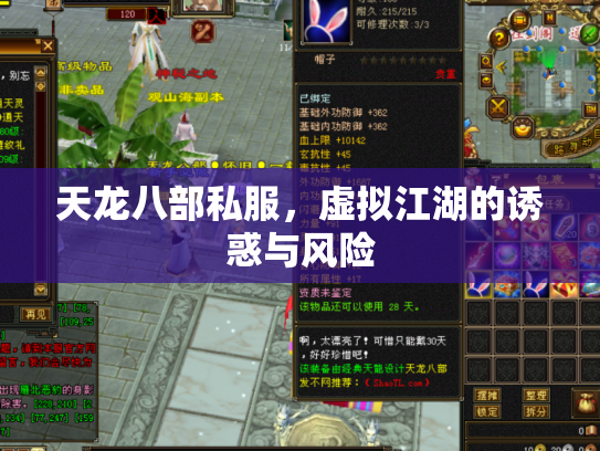 天龙八部私服，虚拟江湖的诱惑与风险