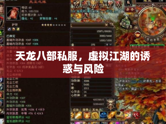 天龙八部私服，虚拟江湖的诱惑与风险